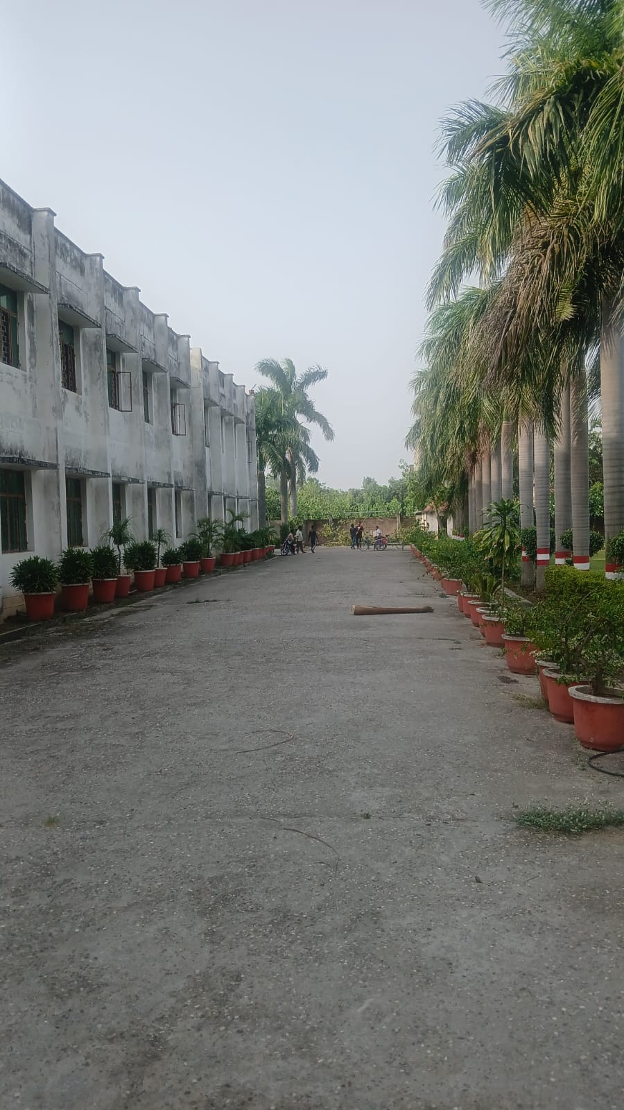 Campus walkway